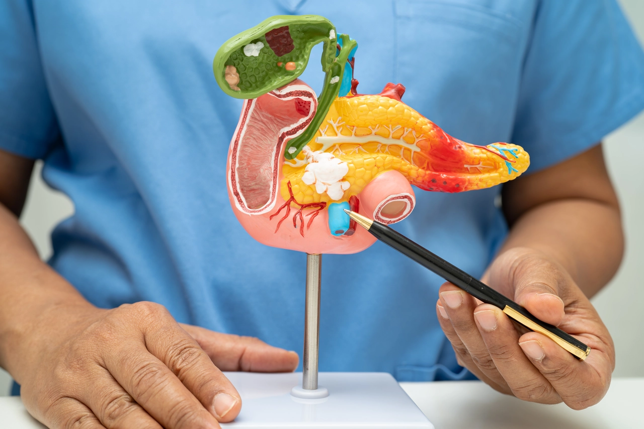 Allerta pancreas: i cibi che lo mettono a rischio