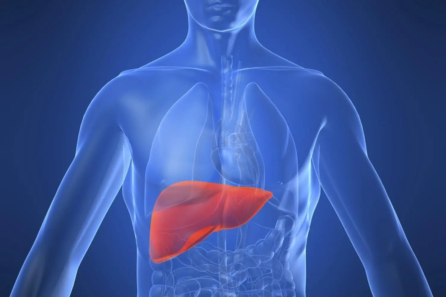 Come proteggere il fegato con la dieta