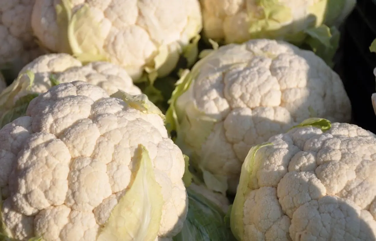 Mangiare cavolfiore: i benefici che pochi conoscono